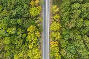 Aerial view from above of country road through the green summer forest in Autumn