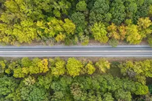 Aerial view from above of country road through the green summer forest in Autumn
