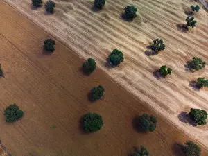 Castilla La Mancha Prints: Aerial view of cultivated fields in Castilla La Mancha, Spain