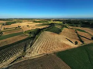 Plot Prints: Aerial view of cultivated fields in Monferrato area during a sunny afternoon