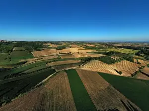 Plot Prints: Aerial view of cultivated fields in Monferrato area during a sunny afternoon