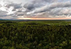 Treetops Prints: Aerial view of dark mountain hills covered with green mixed pine and lush forest in evening