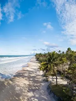 Aerial view deserted beach with coconut trees on the coast of bahia brazil