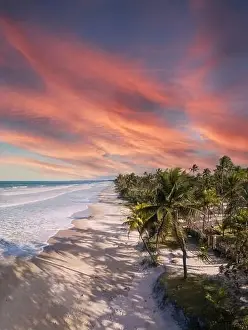Northeastern Prints: Aerial view deserted beach with coconut trees on the coast of bahia brazil
