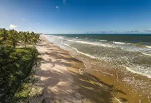Northeastern Prints: Aerial view deserted beach with coconut trees on the coast of bahia brazil