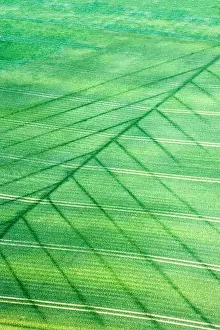 Trace Prints: Aerial view of drainage marks in a field during a drought