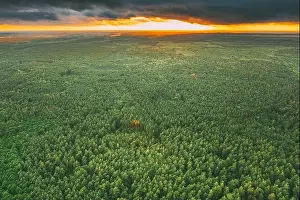 Aerial View Of Dramatic Sky Above Green Forest Landscape In Evening. Top View From High Attitude In Summer Sunset. Rain Clouds