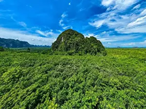 Ozone Prints: Aerial view Drone camera rainforest trees ecology with healthy environment concept and summer background