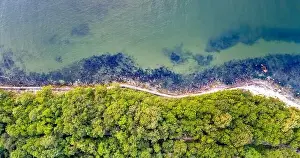 Aerial top view from drone to the coastline covered with green forest near the sea