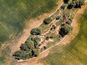Cropland Prints: Aerial view from drone of cultivated fields and trees on a plot of land. Spain