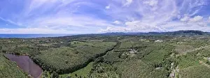 Forest Trees Prints: Aerial view drone shot of beautiful nature landscape forest panorama view