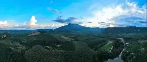 Ozone Prints: Aerial view drone shot of panorama abundant rainforest landscape nature mountains view