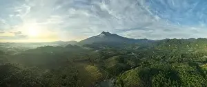 Ozone Prints: Aerial view drone shot of panorama abundant rainforest landscape nature mountains view