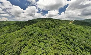 Ozone Prints: Aerial view drone shot of panorama abundant rainforest landscape nature mountains view in phuket thailand