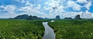 Hight Prints: Aerial view drone shot of panorama abundant rainforest mangrove forest trees landscape nature mountains view