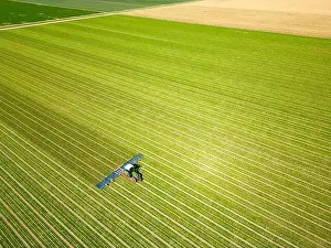 Plow Prints: Aerial view of a dutch farmer working on its land, Flevoland, The Netherlands