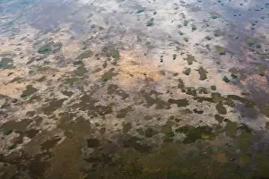 Scenic Flight Prints: An Aerial view of Everglades National Park, Florida, United States