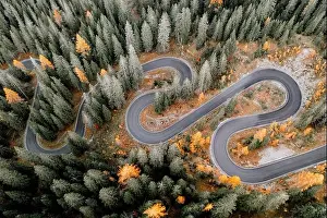 Top aerial view of famous Snake road near Passo Giau in Dolomite Alps. Winding mountains road in lush forest with orange larch trees