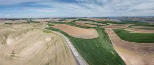 Aerial view of the famous Washington Palouse with dry and green fields and rolling hills