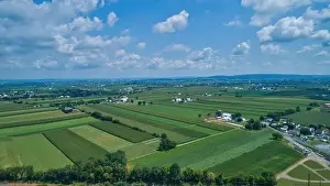 Tree Leaf Prints: Aerial view of farm lands in summer with blue skies and white fluffy clouds