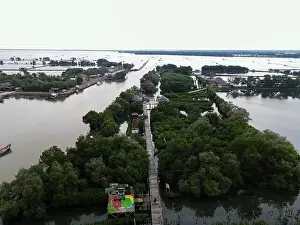 Mangrove Forest Prints: Aerial view of fisherman village and mangrove forest in rainy season