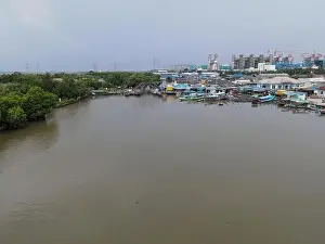 Mangrove Forest Prints: Aerial view of fisherman village and mangrove forest in rainy season