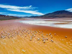 Lagoons Prints: Aerial view of flamingos in the colorful Laguna Colorada in the remote Fauna Andina Eduardo Avaroa National Reserve