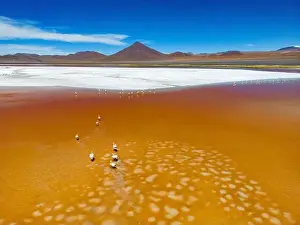 Lagoons Prints: Aerial view of flamingos in the colorful Laguna Colorada in the remote Fauna Andina Eduardo Avaroa National Reserve