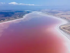 Salty Prints: Aerial view. Fly over of coastal area Kuialnyk Estuary with salty water on pink color