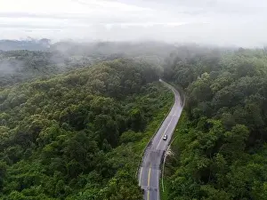Summer Hill Prints: Aerial view foggy road forest tree environment nature background