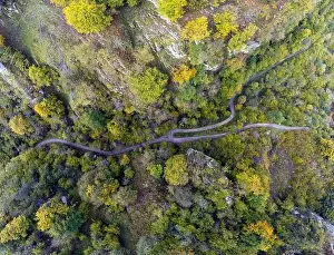 Aerial view forest in autumn on the path of Las Foces del Raigosu in the Asturian council of Laviana, Spain