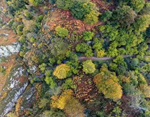 Bright Light Prints: Aerial view forest in autumn on the path of Las Foces del Raigosu in the Asturian council of Laviana