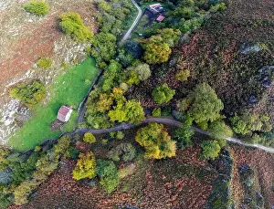 Aerial view forest in autumn on the path of Las Foces del Raigosu in the Asturian council of Laviana, Spain