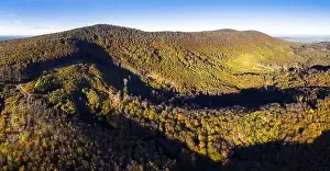 Top Tree Prints: Aerial view of forest with red trees on mountain in fall in Slovakia