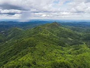 Amazonas Prints: Aerial view forest trees background jungle nature green tree on the mountain top view