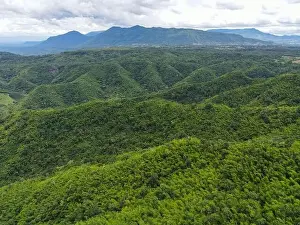 Amazonas Prints: Aerial view forest trees background jungle nature green tree on the mountain top view