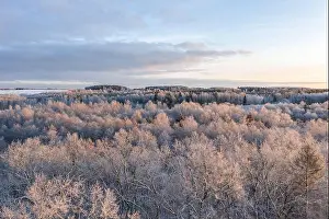 Aerial view of frost covered trees on a cold winter morning lighted by the rising sun. Tartu, Estonia