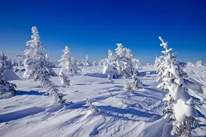 Aerial top view frozen forest, winter landscape scene with blue sky