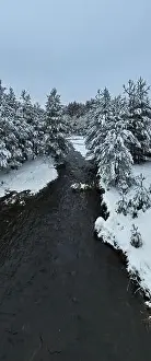Forest River Prints: An aerial view of a frozen river flowing through snow-covered forests on a cloudy sunset sky background