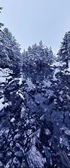 Forest River Prints: An aerial view of a frozen river flowing through snow-covered forests on a cloudy sunset sky background