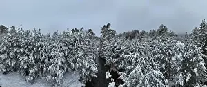 Forest River Prints: An aerial view of a frozen river flowing through snow-covered forests on a cloudy sunset sky background