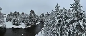 Forest River Prints: An aerial view of a frozen river flowing through snow-covered forests on a cloudy sunset sky background