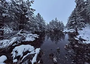 Forest River Prints: An aerial view of a frozen river flowing through snow-covered forests on a cloudy sunset sky background