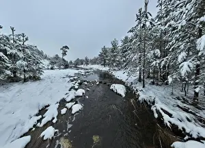Forest River Prints: An aerial view of a frozen river flowing through snow-covered forests on a cloudy sunset sky background