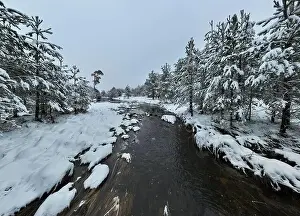 Forest River Prints: An aerial view of a frozen river flowing through snow-covered forests on a cloudy sunset sky background