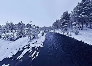 Forest River Prints: An aerial view of a frozen river flowing through snow-covered forests on a cloudy sunset sky background