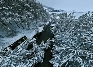 Forest River Prints: An aerial view of a frozen river flowing through snow-covered forests on a cloudy sunset sky background