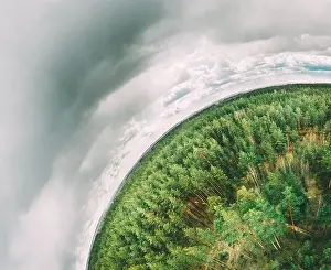 Small Planet Prints: Aerial View Green Coniferous Forest Pines Woods Landscape In Spring Day