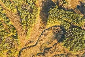 Aerial Landscape Collection: Aerial View Green Forest In Deforestation Area Landscape. Top View Of Woods