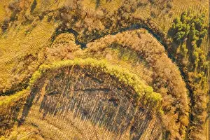 Aerial View Green Forest In Deforestation Area Landscape. Top View Of Shadows From Woods Trunks. Growing Forest. European Nature From High Attitude In